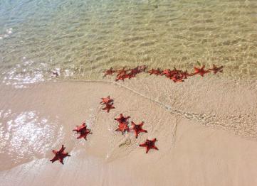 Rach Vem Island Phu Quoc 2