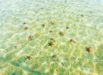 Rach Vem Island Phu Quoc 4