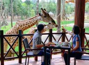 Vinpearl Safari Phu Quoc 5